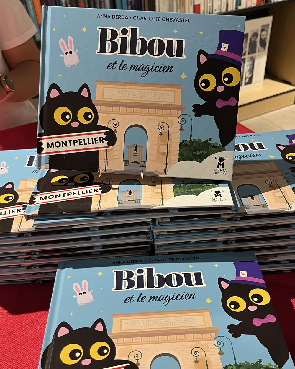 Bibou et le Magicien — livre créé par LUDI'COM